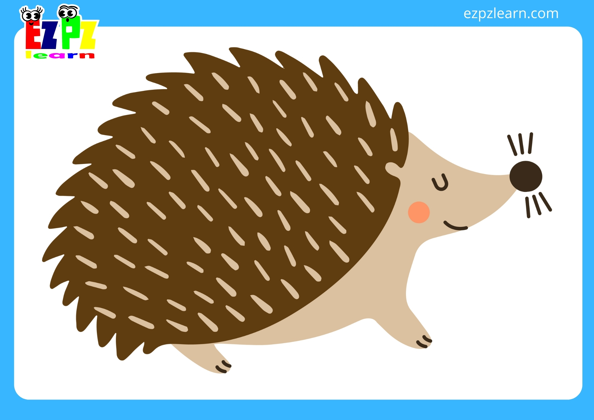 hedgehog